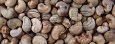 Cashewnut humnail
