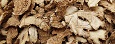 Dry Ginger