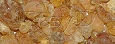 Gum Arabic I