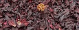 Hibiscus (Black)