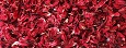 Hibiscus (Red